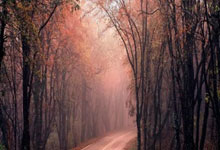 [NBA]克里斯蒂突破妙传 里夫斯三分应声入网.