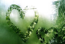 中国女排名将朱婷：在祖国比赛的感觉与众不同中国新闻网.