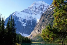 国象第30届“李成智杯”少年儿童冠军赛落幕2025-02-10.