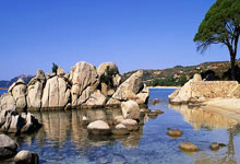 丹-伯恩谈入选英格兰队趣事：图赫尔说我10点不睡觉太不职业.